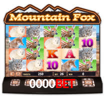 0000bet,0000bet.com